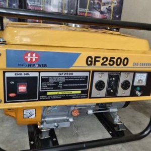 GSF-2500 (2000w) aluminum coil petrol generator